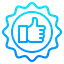Icon 1