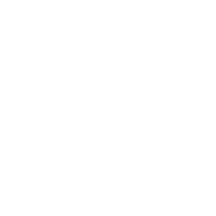 Startup Growth Engine